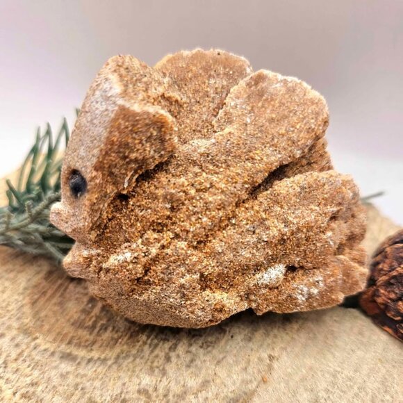 Rare Nature Desert Rose Hand Carved Fish Decor Figure - Picture 1 of 10